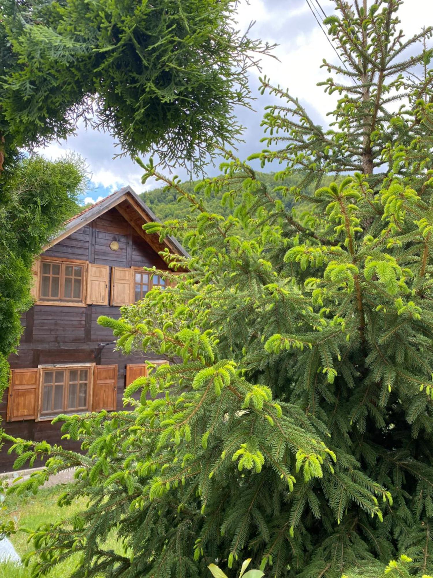 Aphrodite Hills Apartments-Stara Planina Crni Vrh Ngoại thất bức ảnh